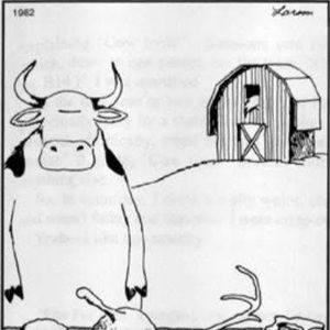 Meet your Posher, Elijah